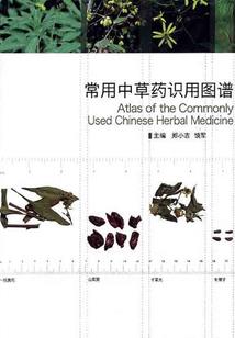 我在游戏里出不去了