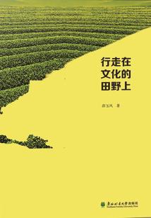 方块领域之再生的火焰
