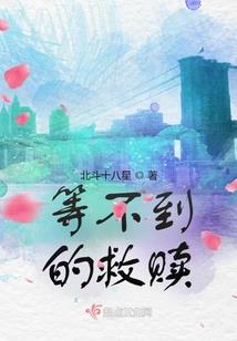 导演带你去修仙