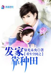 二次元不需要系统