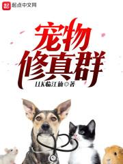 境界线上的维度线