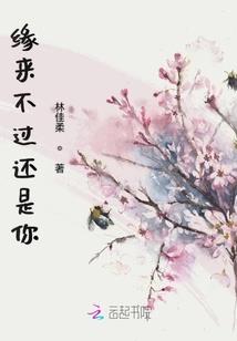 宋艾美