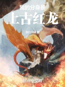 抢来的新娘-