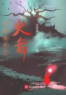 一个普通的穿越者