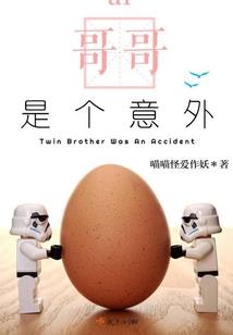 神奇宝贝之某个男人的故事