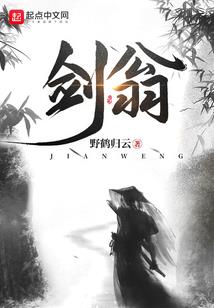 霸王骑士