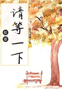 我的星光大道