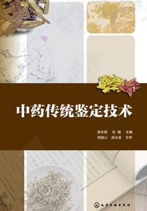 魂魄者