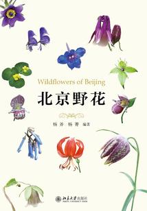 异能末日游戏