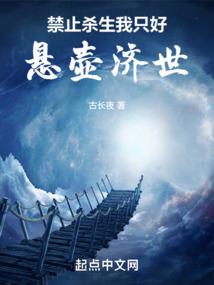 雪月阑珊