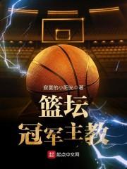 我家公子是高手