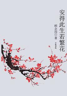霓裳魅影