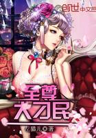 玲风一夜隐