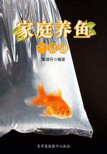 足球盛宴，从收购欧洲俱乐部开始