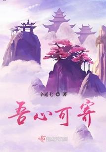 精灵之小智哥哥