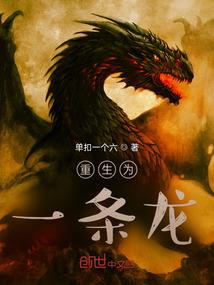 第五人格：译电机芯