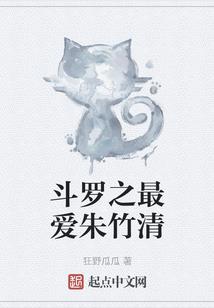 风雨中的野菊花