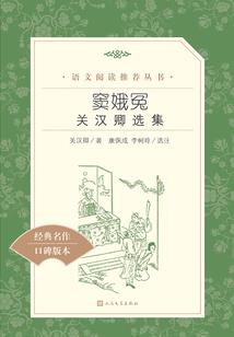 花样年华少爷的贴心女佣