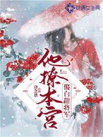 雷光录
