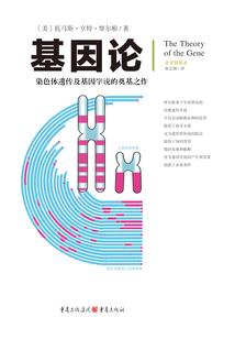 作妖儿的第三次重生