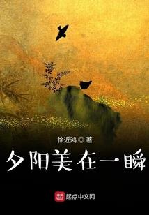 暖望夜雪
