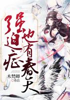 折柳之复仇小姐的总裁先生