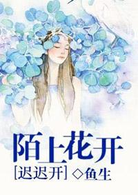 还珠续事之康薇情