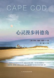 冰蓝之梦