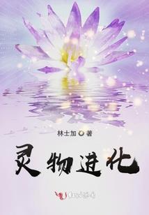 战王叶傲天