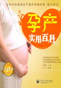 枪心证道