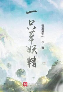 王二花妄游记