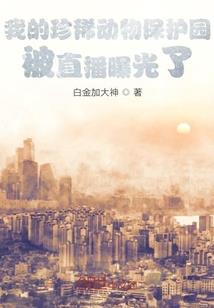 巅峰要塞