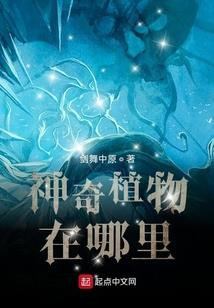 人间有情之鬼刹石传说