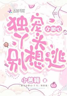 磁京城的陷落