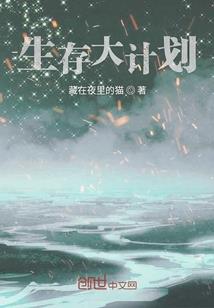 九州争雄录