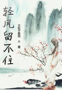 最爱小狗诺米