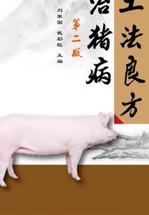 超级无敌赘婿