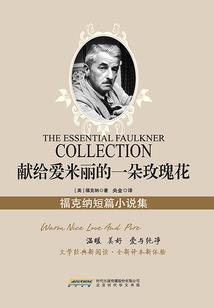 王安忆自选集