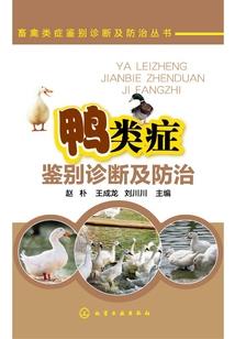 绽放如花