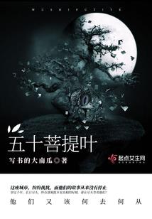 重生，沸腾的旅程