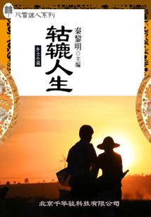 青莲乱