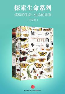 你呢傻子