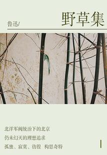 斗罗杀神：从比比东砍到至尊神王