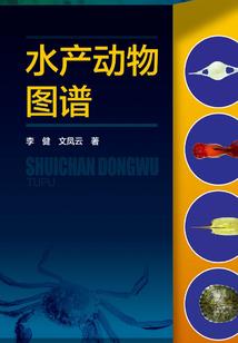 猎尸录