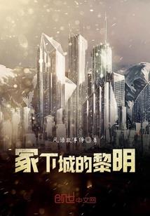 总裁的前妻（全本）