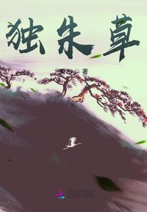 创世纪战