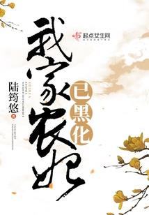 韶光之梦