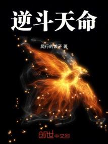 特利迦奥特曼：光芒连结者