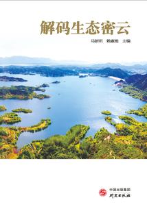 我的影子是怪物杀手