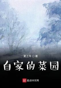 轮回来见你